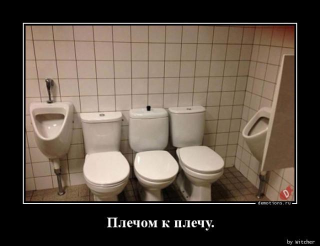 
			Демотиваторы №3756 (17 фото)