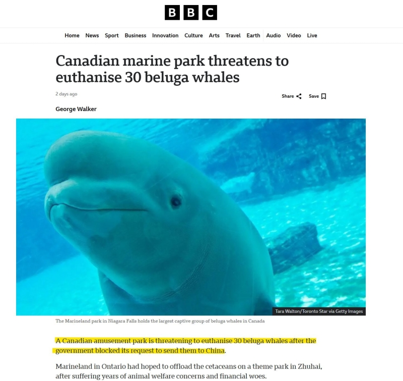 История №1552016