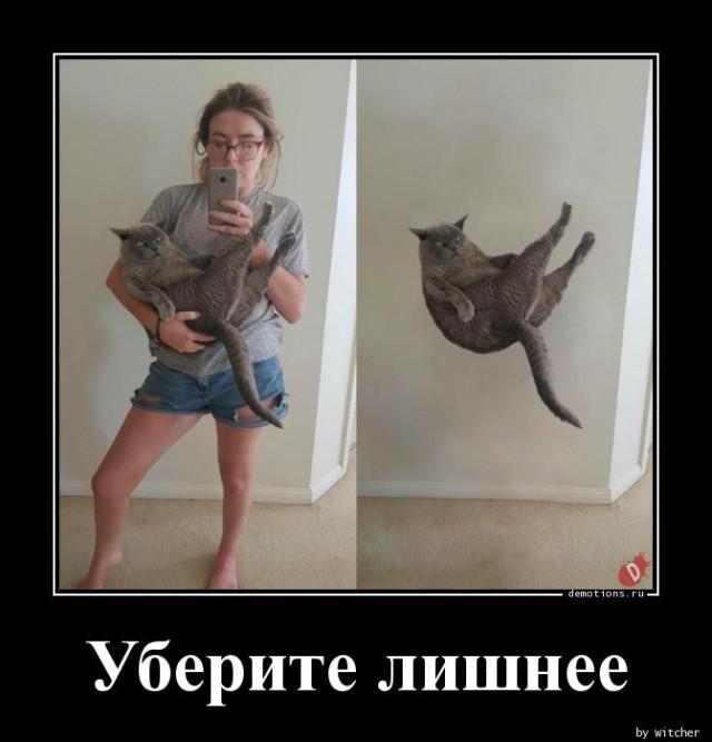 
			Демотиваторы №3759 (15 фото)