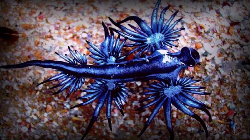 
        20&nbsp;мест и&nbsp;моментов, в&nbsp;которых реальность прекраснее вымысла    