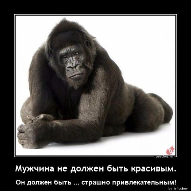 
			Демотиваторы №3753 (17 фото)