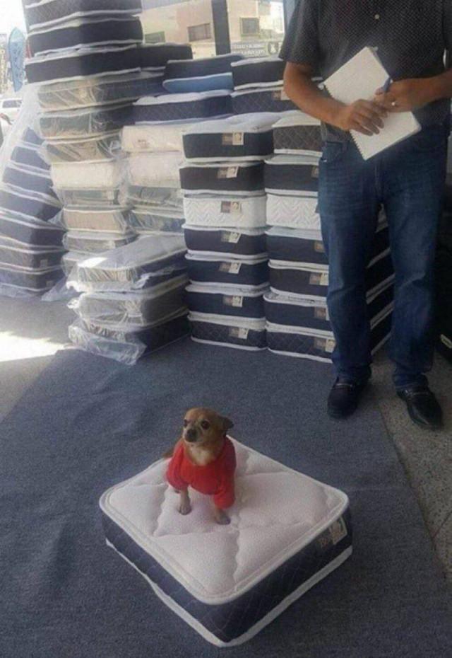 Подборка прикольных фото №3805