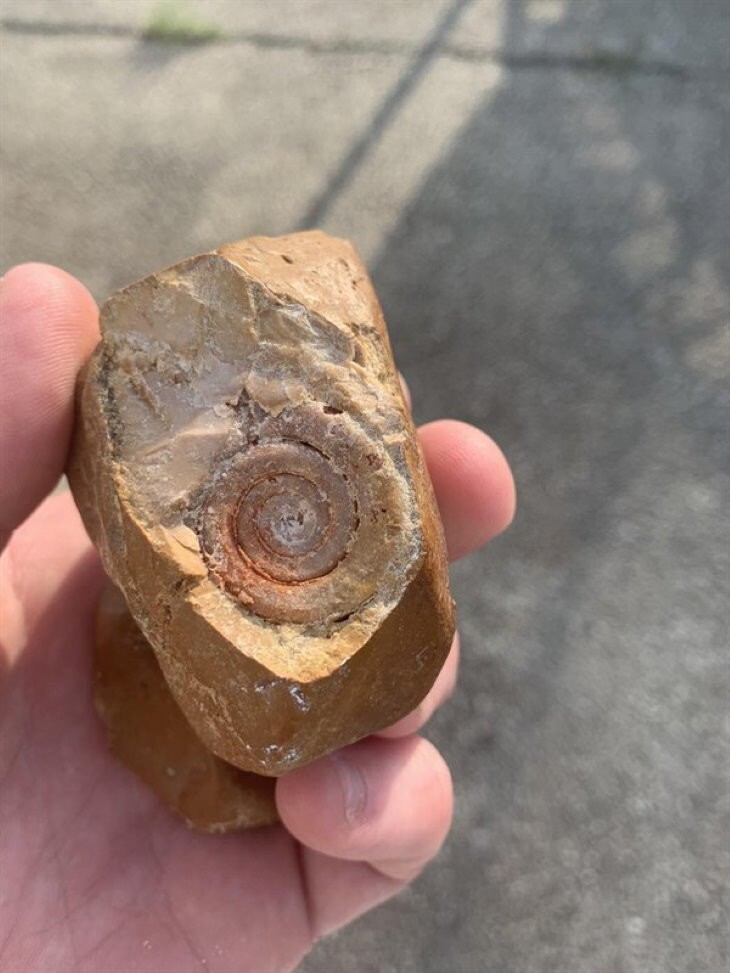 
        18&nbsp;находок, позволяющих узнать об&nbsp;удивительных жителях планеты ушедших эпох    