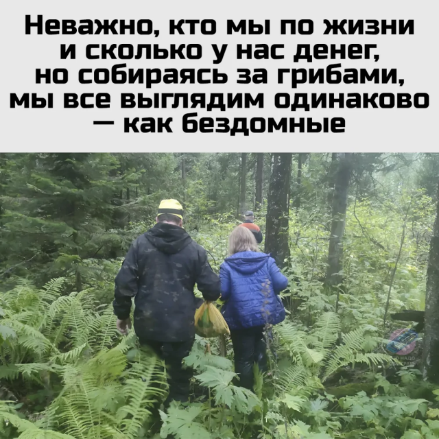 Немного грибного юмора