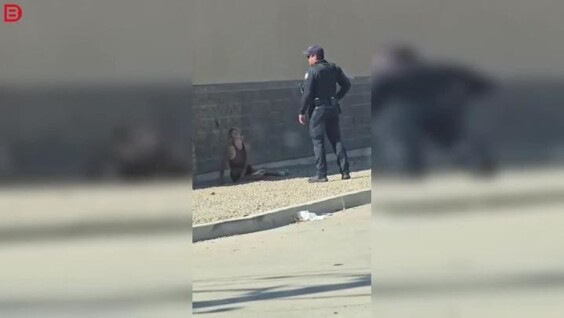 
        Полицейский встретил девушку в&nbsp;неадекватном состоянии на&nbsp;обочине дороги    