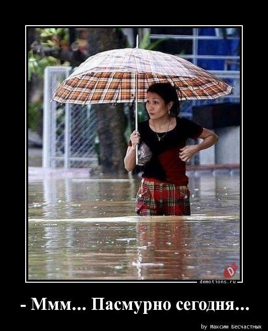 
			Демотиваторы №3754 (17 фото)