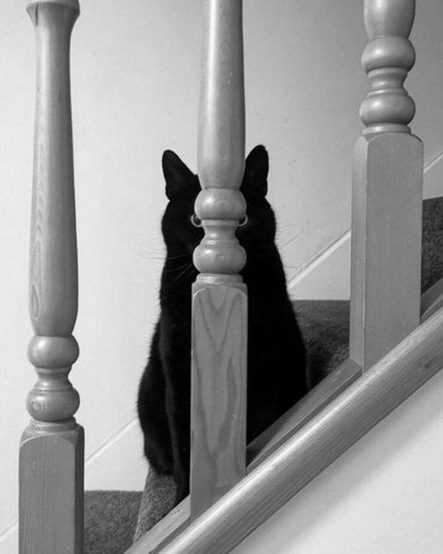 Подборка прикольных фото №3814