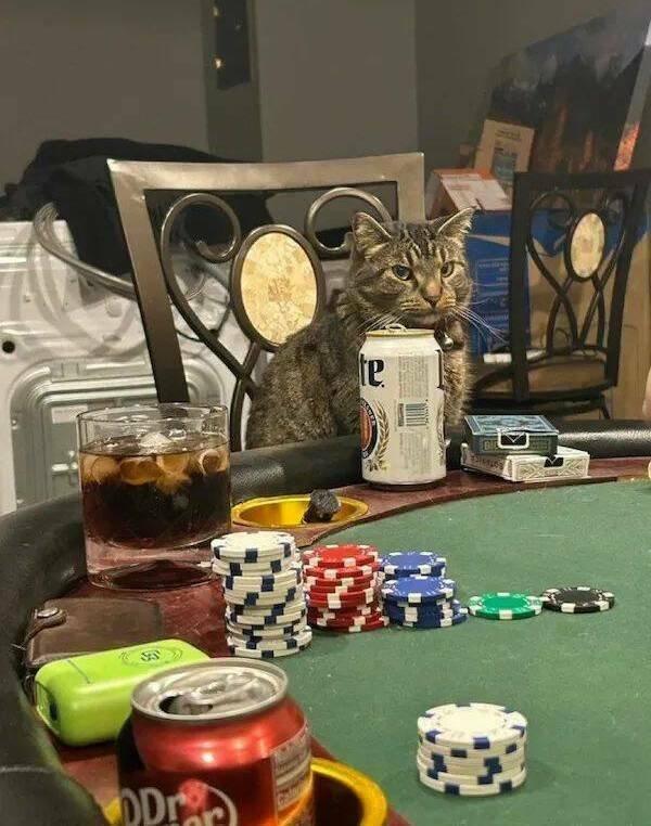 Подборка прикольных фото №3809