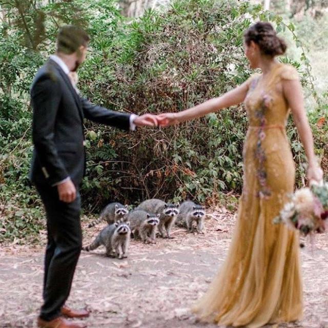 Свадебные фотобомбы: когда идеальные кадры идут не по плану Свадебные фотобомбы: когда идеальные кадры идут не по плану