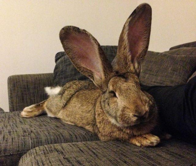 Подборка прикольных фото №3810