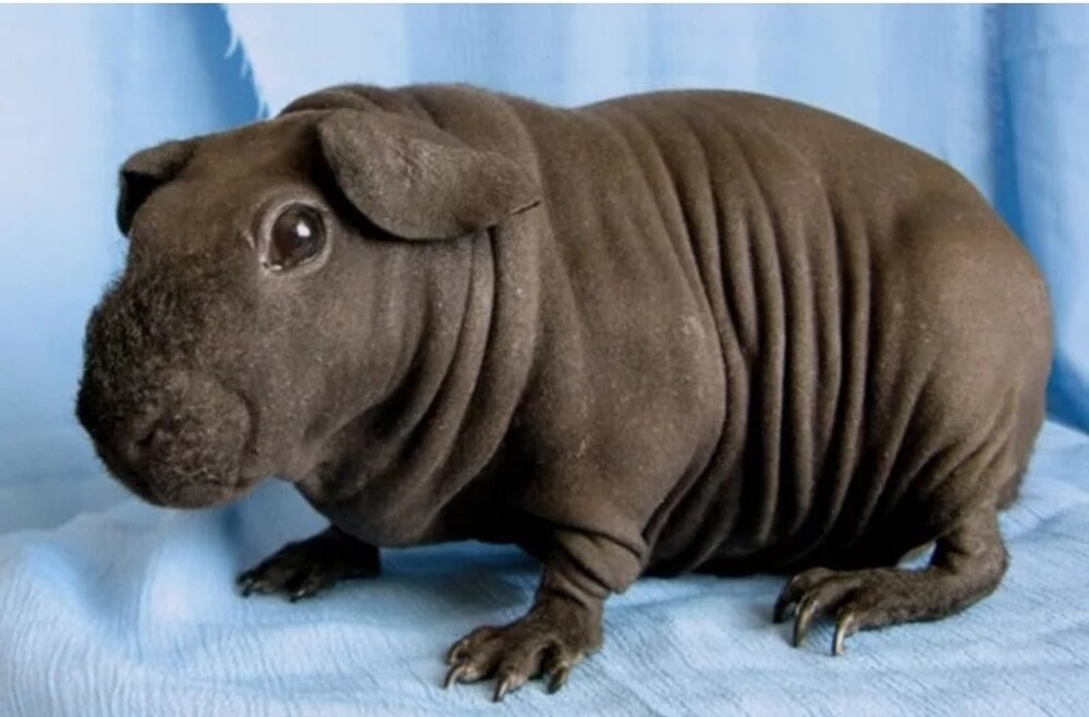 
        20&nbsp;кадров - примеров простых чудес нашего мира    