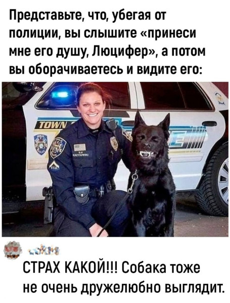 Мем №1550818