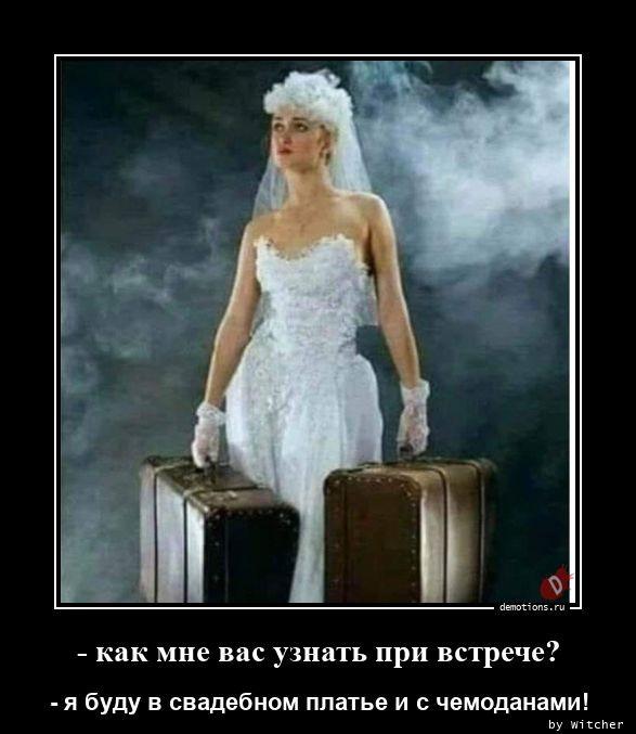 
			Демотиваторы №3762 (15 фото)