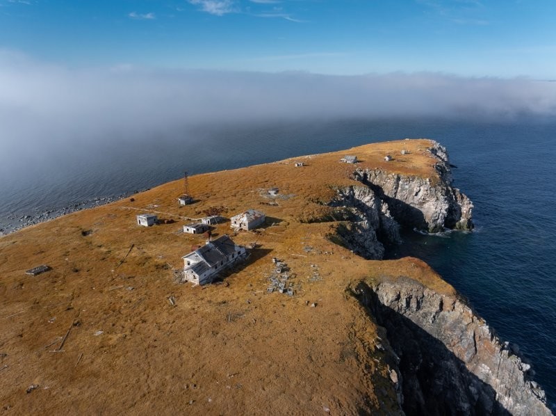 
        Белые медведи поселились на&nbsp;заброшенной советской станции    