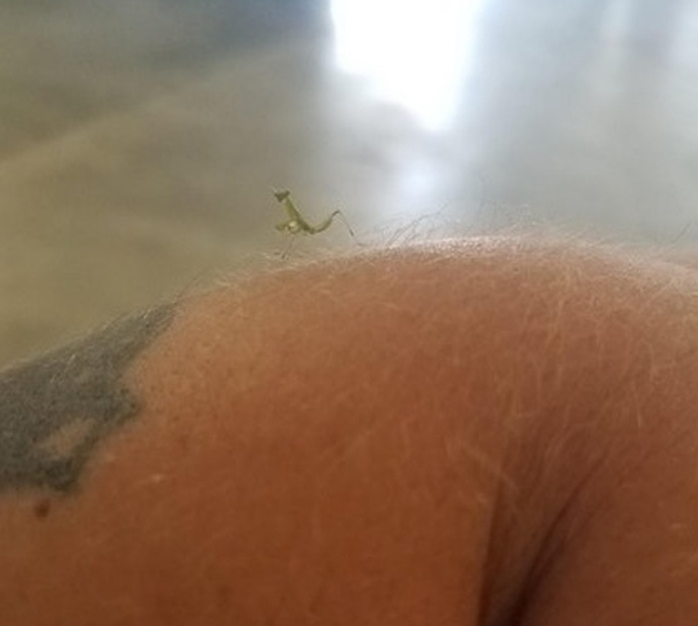 
        28&nbsp;не&nbsp;повторяющихся моментов: мир&nbsp;бывает восхитительным и&nbsp;без&nbsp;фотошопа    