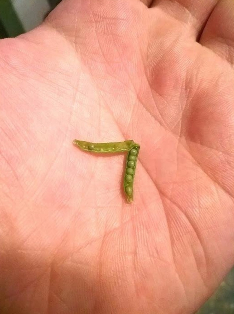 
        28&nbsp;не&nbsp;повторяющихся моментов: мир&nbsp;бывает восхитительным и&nbsp;без&nbsp;фотошопа    