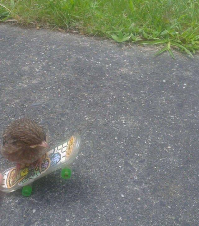 Подборка прикольных фото №3805