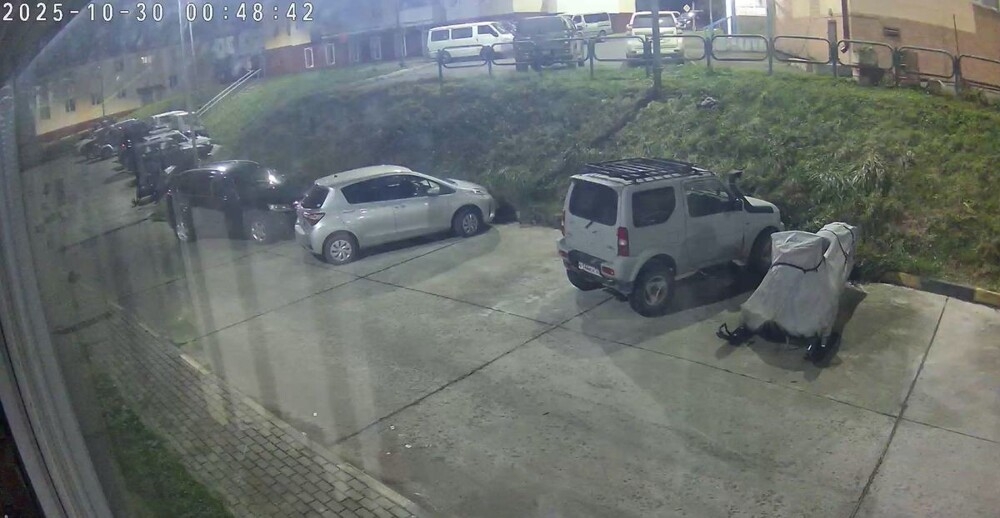 
        Косолапый полуночник    