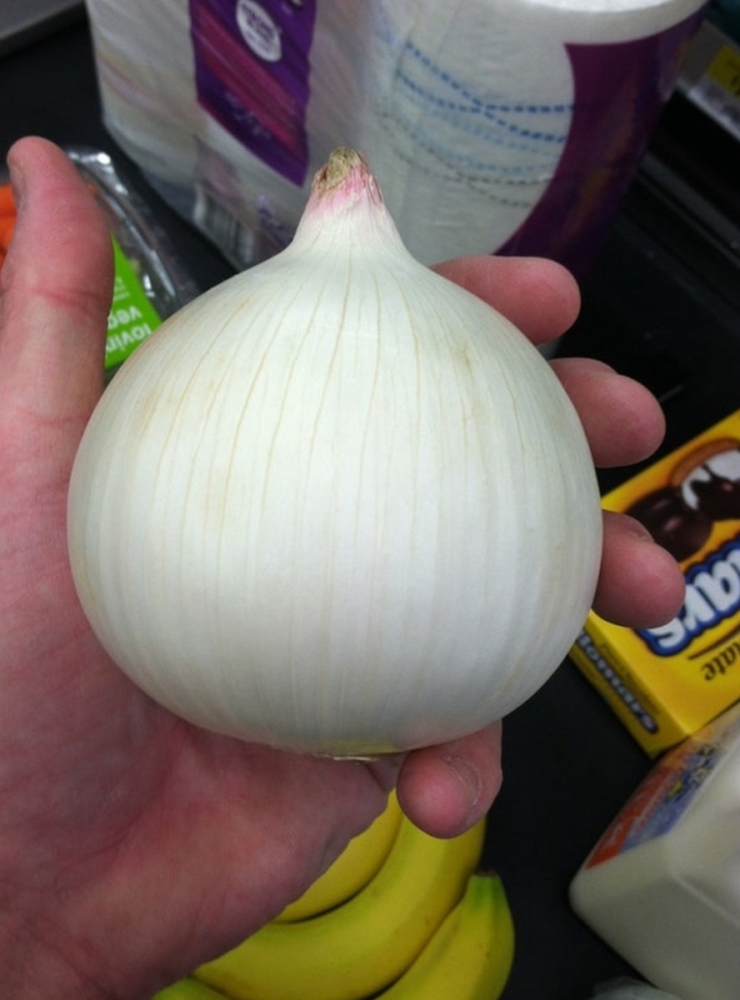 
        28&nbsp;не&nbsp;повторяющихся моментов: мир&nbsp;бывает восхитительным и&nbsp;без&nbsp;фотошопа    