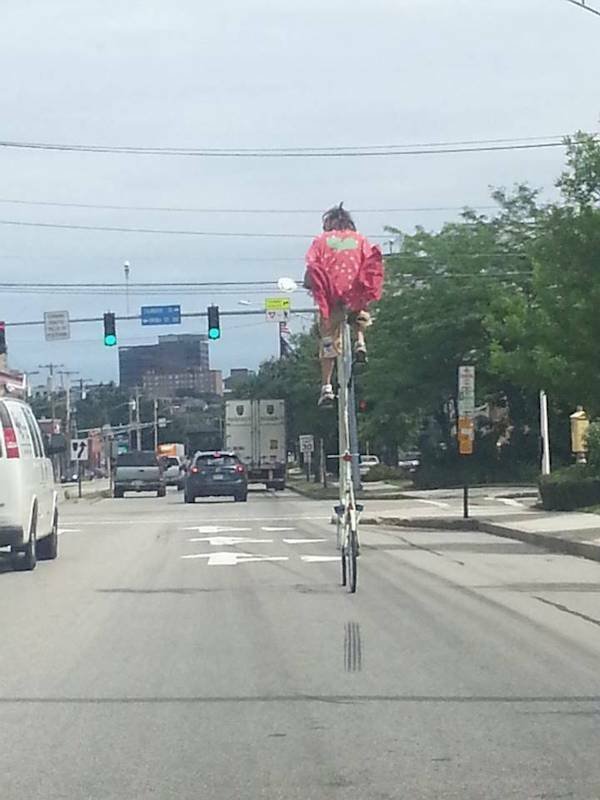 Подборка картинок. Вечерний выпуск - 31.10.2025 (30 фото)