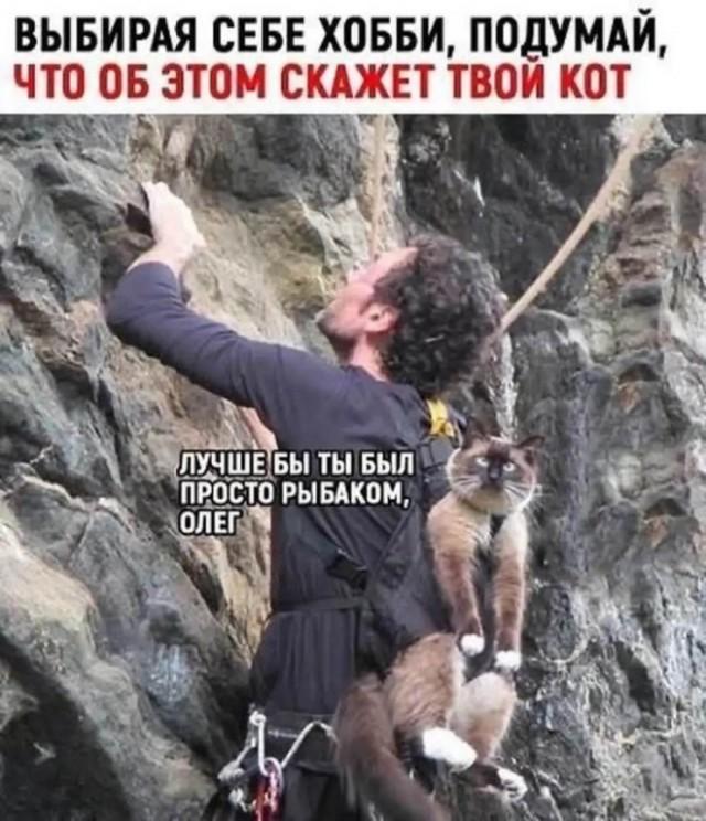 Подборка прикольных фото №3816