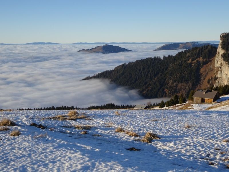 
        20&nbsp;поводов улыбнуться и&nbsp;восхититься, подаренных природой    