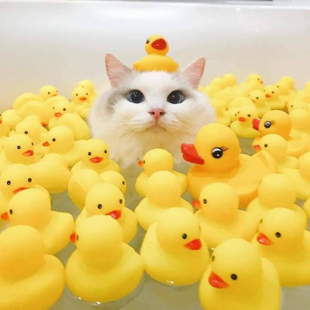 Подборка прикольных фото №3795