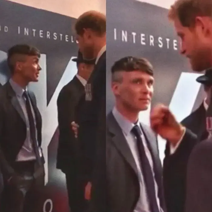 История №1555959