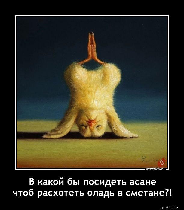
			Демотиваторы №3742 (15 фото)