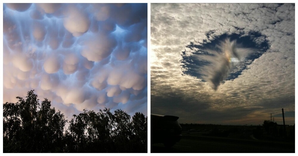 
        25&nbsp;персонажей и&nbsp;декораций небесного театра, доказывающих, что&nbsp;облака могут быть объектом искусства    
