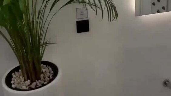 
        В&nbsp;Казахстане обнаружили самый &laquo;роскошный&raquo; общественный туалет в&nbsp;мире    