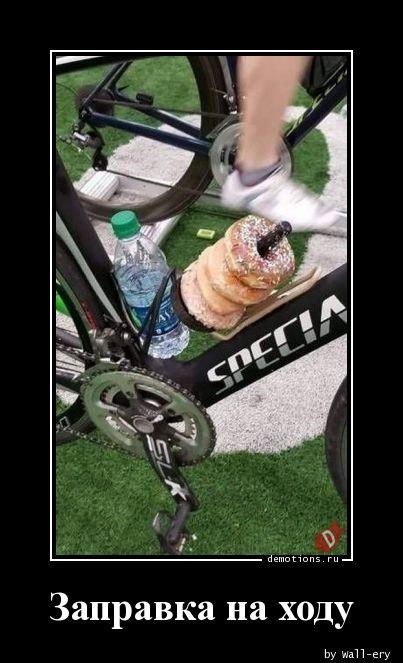 
			Демотиваторы №3758 (20 фото)