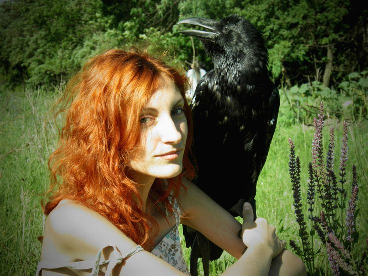 
        Причины, по&nbsp;которым не&nbsp;стоит заводить дома ворона    