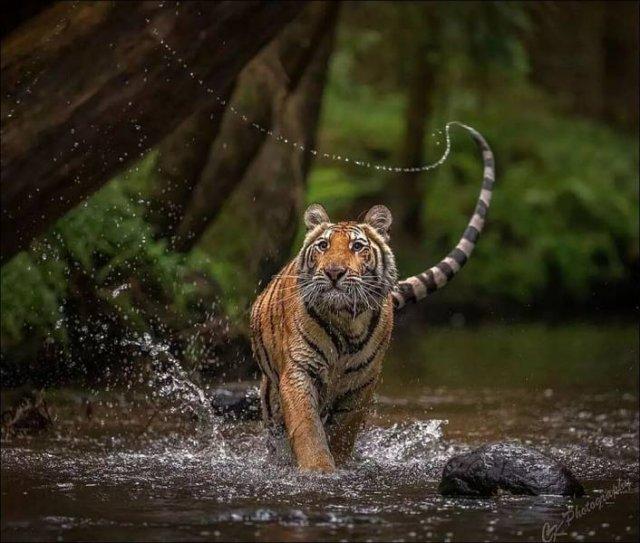 Подборка прикольных фото №3811