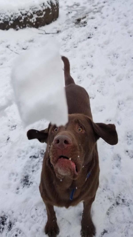 Подборка прикольных фото №3798