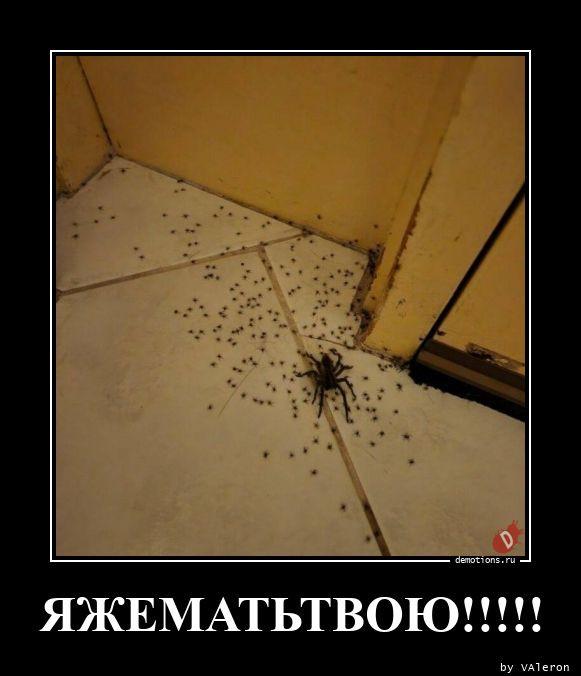 
			Демотиваторы №3749 (20 фото)