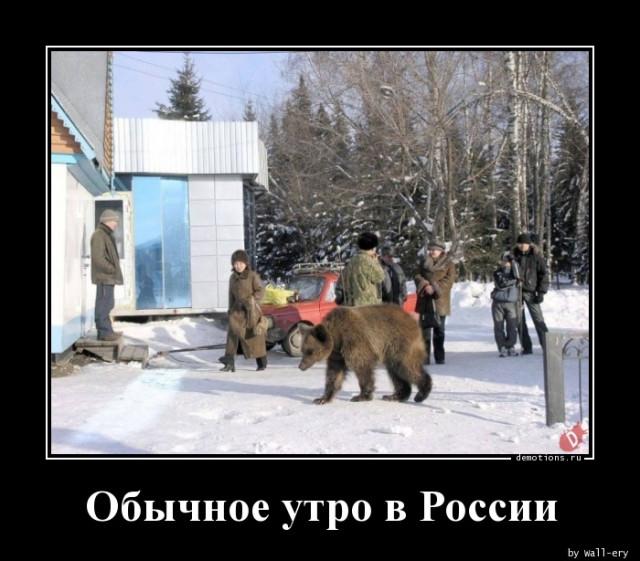 
			Демотиваторы №3758 (20 фото)