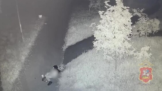 
        В&nbsp;Подмосковье двое братьев избили мужчину и&nbsp;забрали его&nbsp;кошелек    