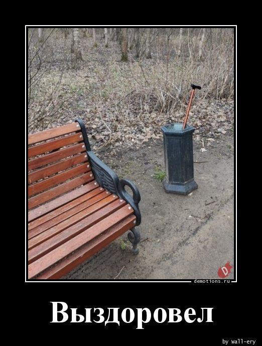 
			Демотиваторы №3749 (20 фото)