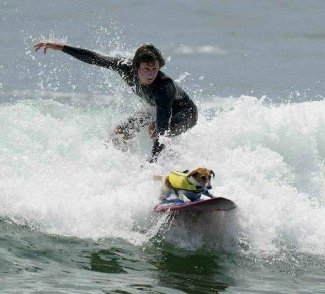 Подборка прикольных фото №3806