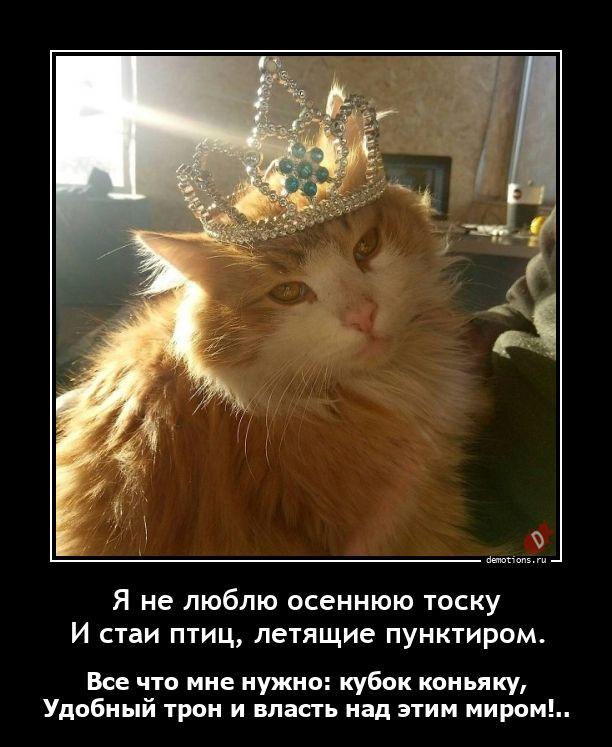 
			Демотиваторы №3743 (20 фото)