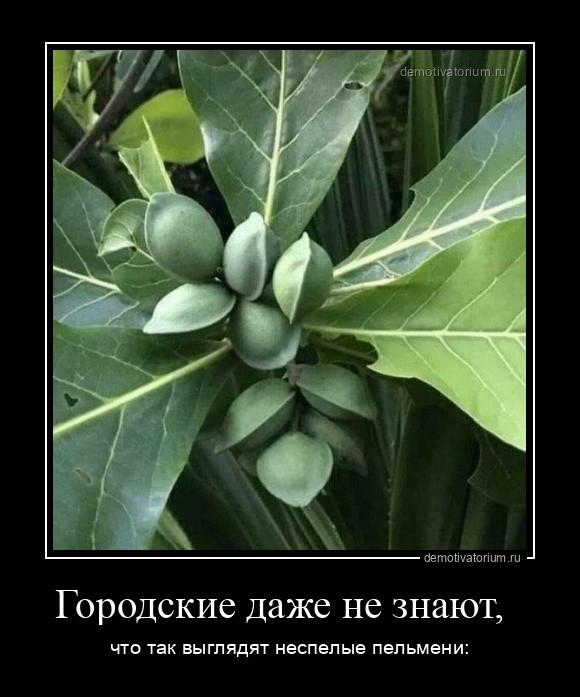 
			Демотиваторы №3754 (17 фото)