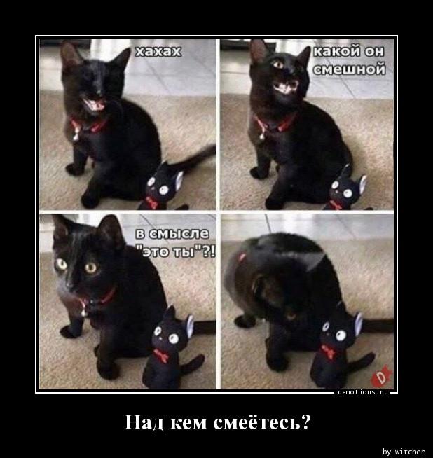 
			Демотиваторы №3757 (17 фото)