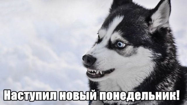 Трынделка - 27.10.2025