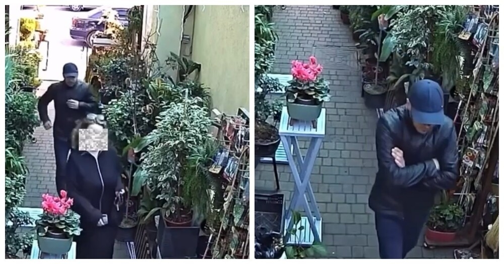 Маньяк пристаёт к девушкам из Владикавказа — один из случаев попал на видео
Маньяк пристаёт к девушкам из Владикавказа — один из случаев попал на видео