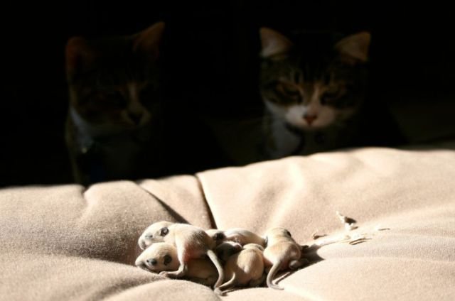 Подборка картинок. Вечерний выпуск - 27.10.2025 (30 фото)