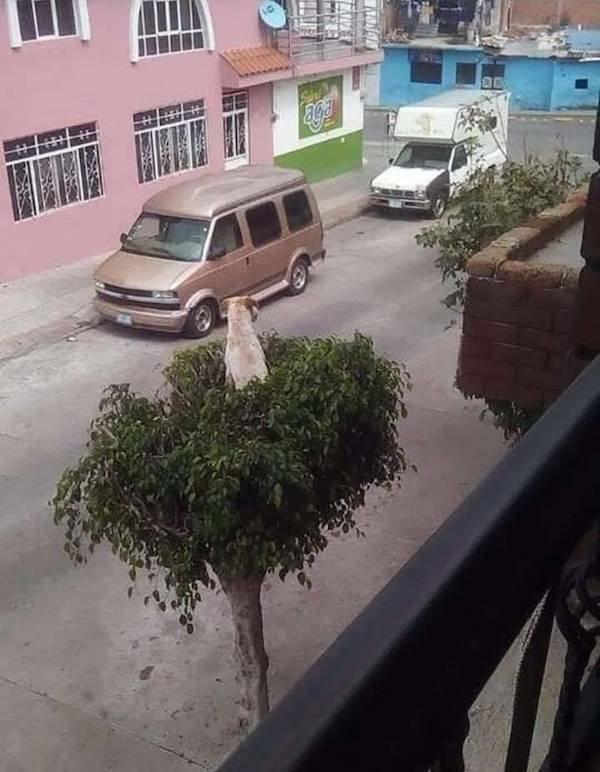 Подборка прикольных фото №3798