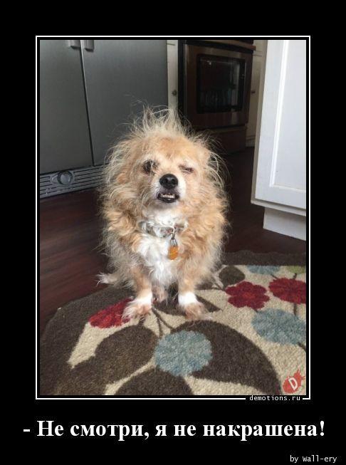 
			Демотиваторы №3758 (20 фото)