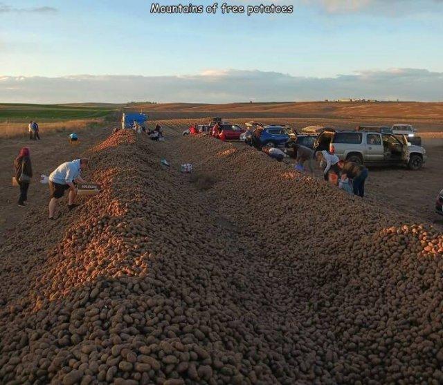 Подборка прикольных фото №3816