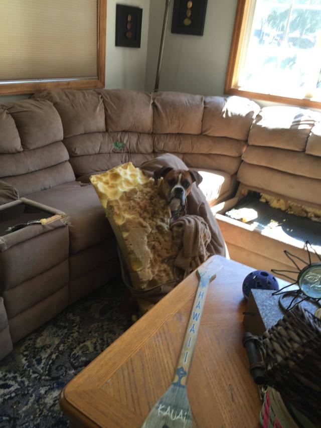 Подборка прикольных фото №3812